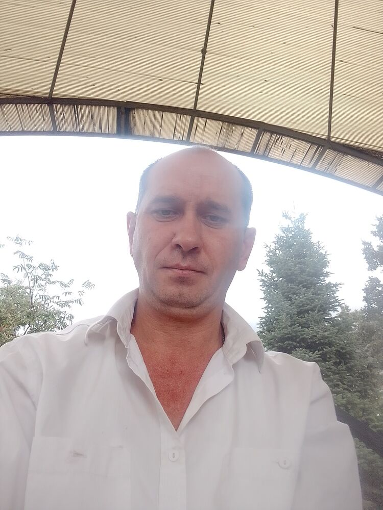  33717329  , 44 ,     