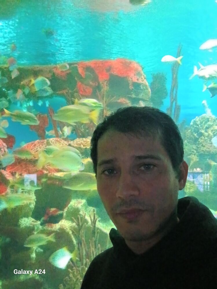 ���������� �����-���������, ���� ������� �����, 37 ���, ������������ ��� ������, ����� � ���������