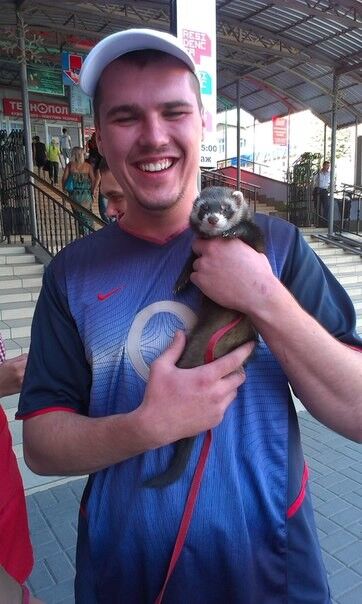  5170869  Cynoctat, 34 ,    