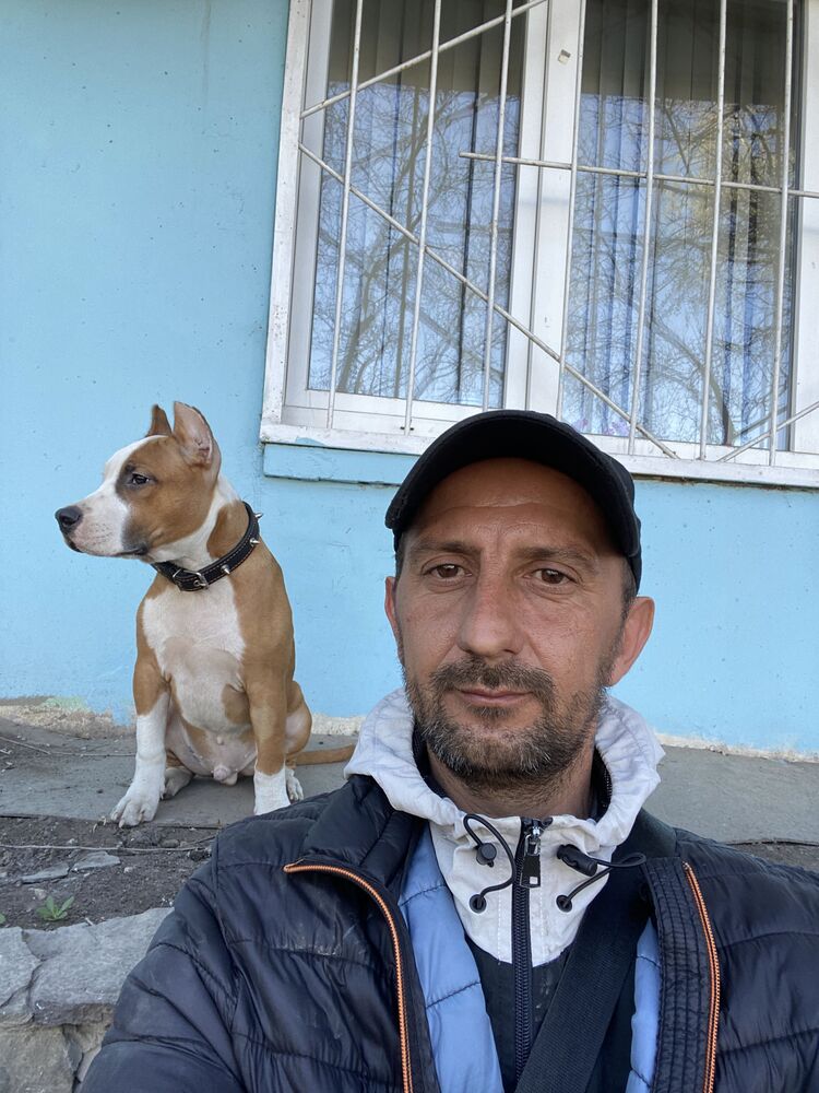 ���������� ������-��-����, ���� ������� �����Stereo, 43 ����, ������������ ��� c�������� ���������