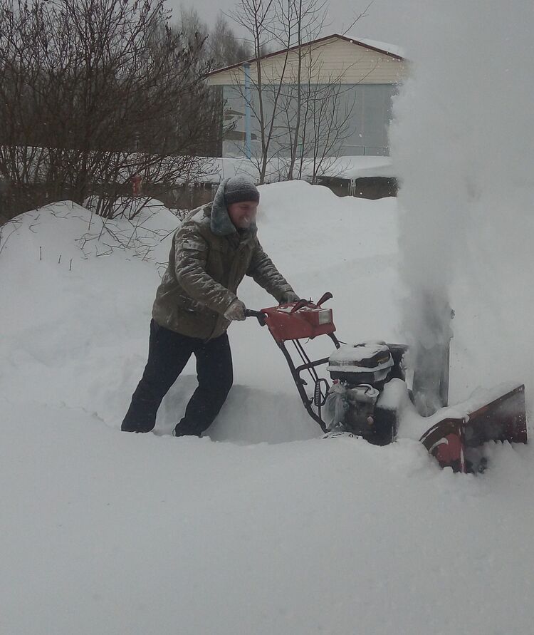 ���� 25241629 ������� ������, 42 ����, ���� ���������� � ������