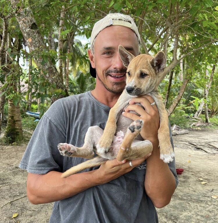 ���� 55075519 ������� �������, 33 ����, ���� ���������� � ��������