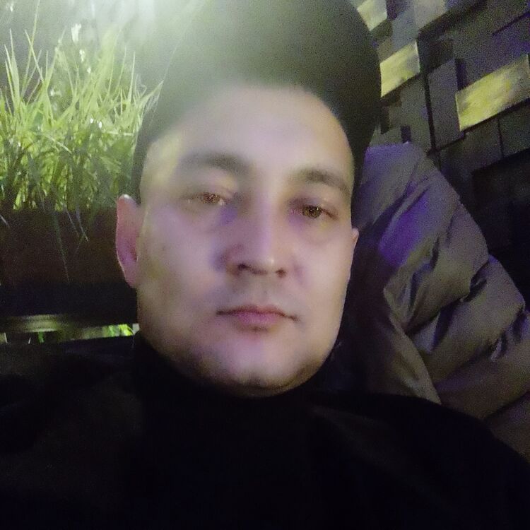  48427769  , 33 ,    