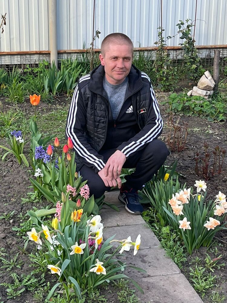 ���� 34385039 ������� ��������, 43 ����, ���� ���������� � ��������