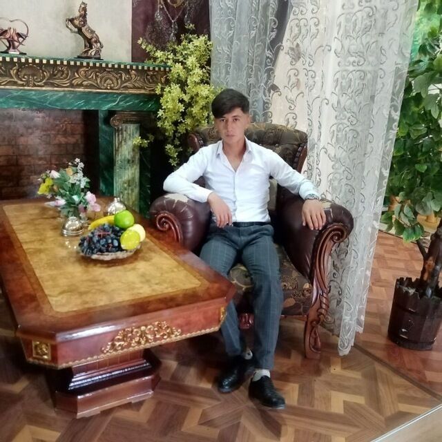  51686879  , 24 ,    
