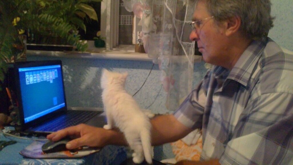  ,   , 65 ,   ,   , c 