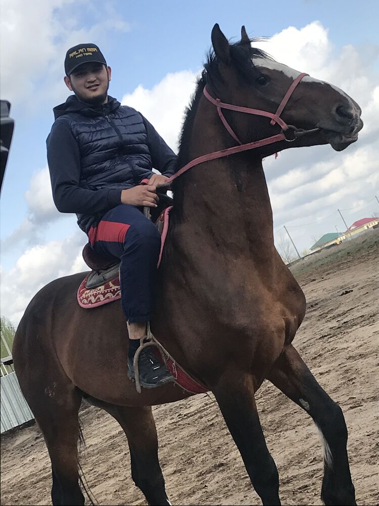 ���� 30939079 ������� ������, 26 ���, ���� ���������� � ������