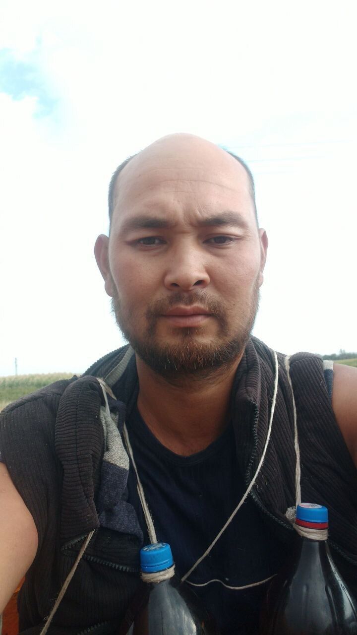  52879559  , 32 ,    