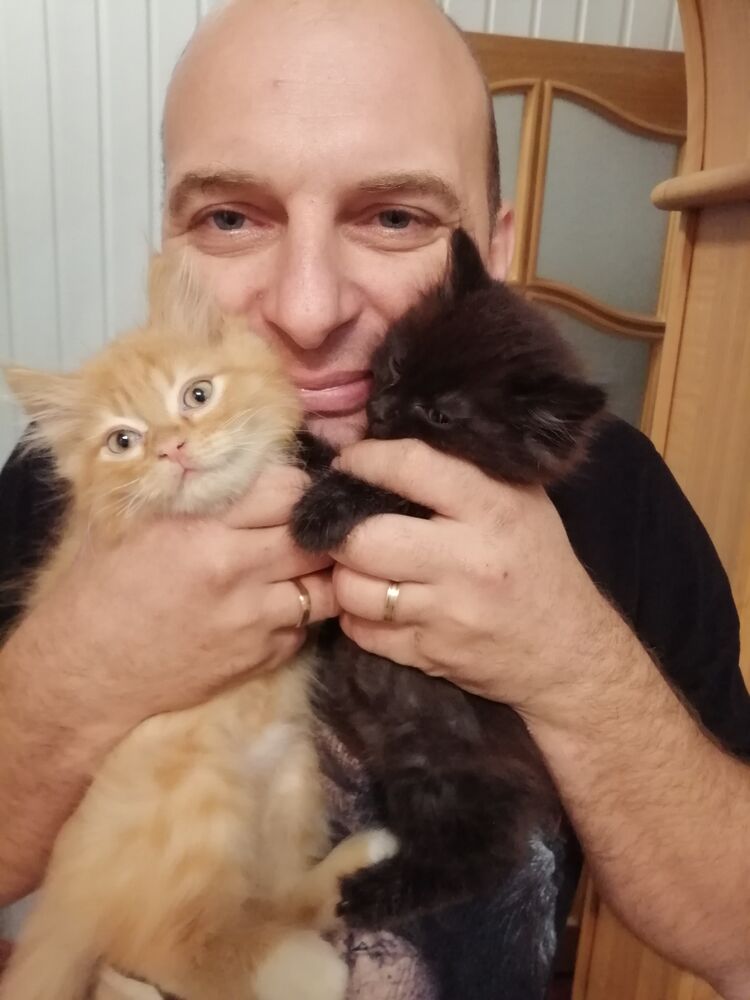 ���������� ������� ��������, ���� ������� ������, 46 ���, ������������ ��� ������, ����� � ���������