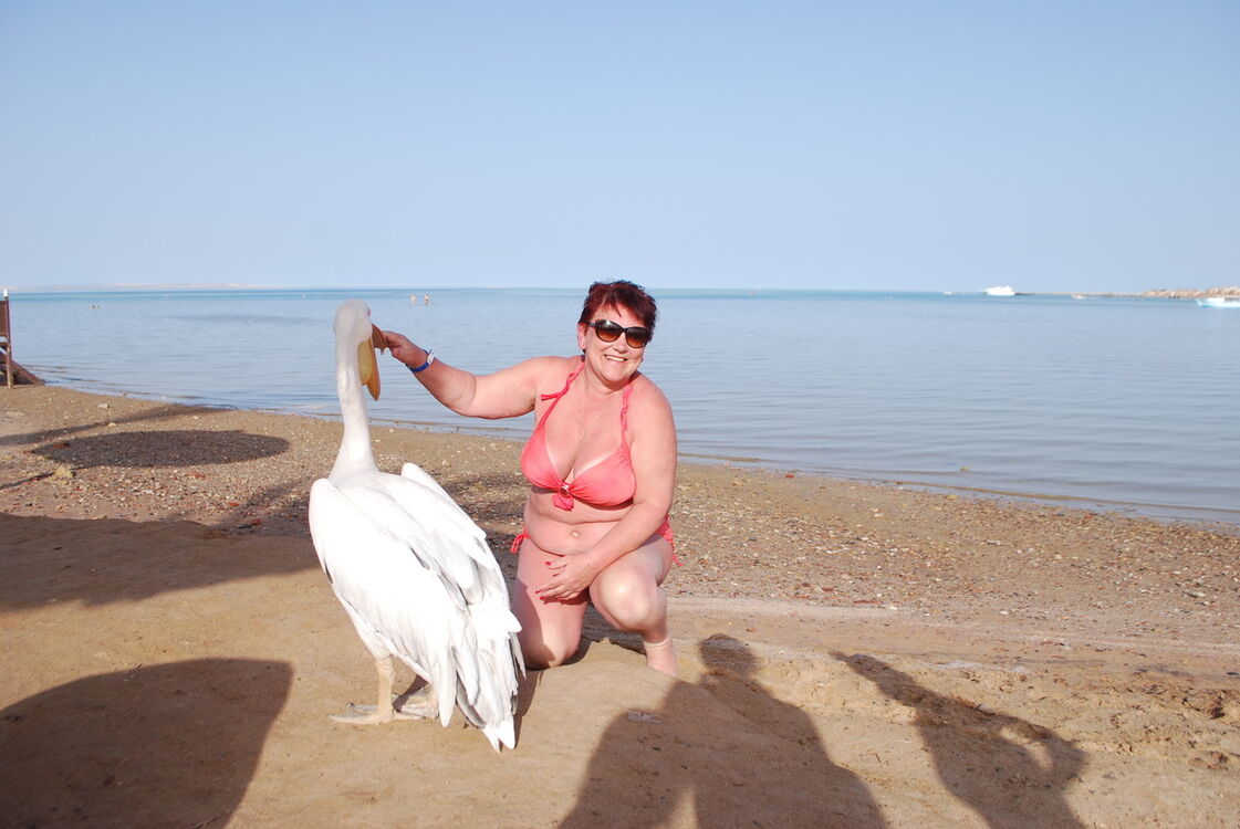  ,   , 65 ,     , c 