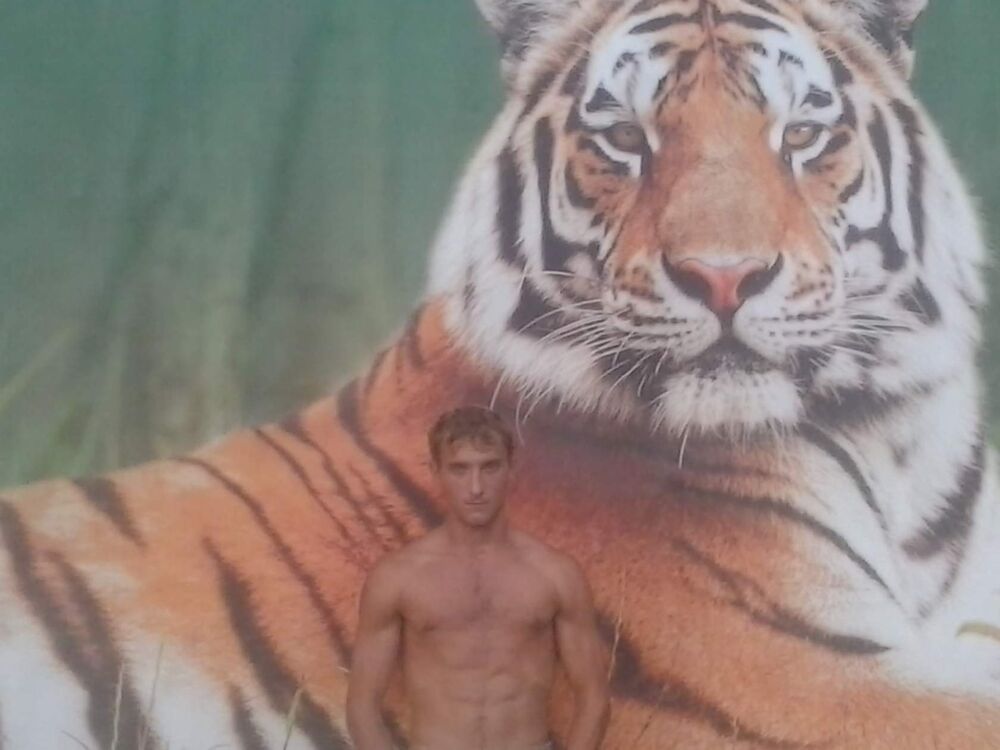 ���� 24803639 ������� �����, 31 ���, ���� ���������� � ������