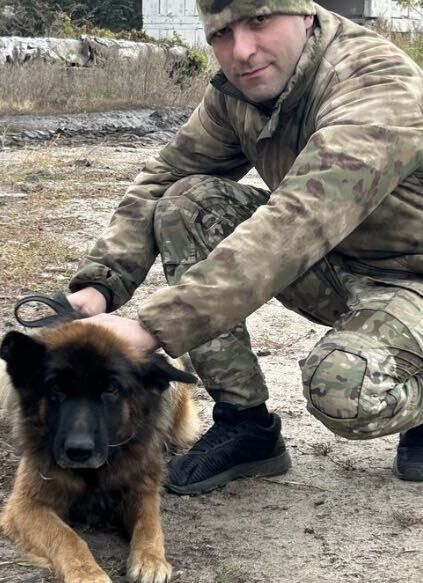 ���������� ������-��-����, ���� ������� ������, 36 ���, ������������ ��� ������, ����� � ���������