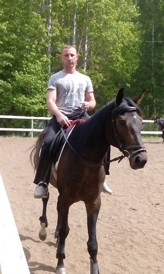 ���������� ���������, ���� ������� ���, 48 ���, ������������ ��� ����� � ���������, c�������� ���������