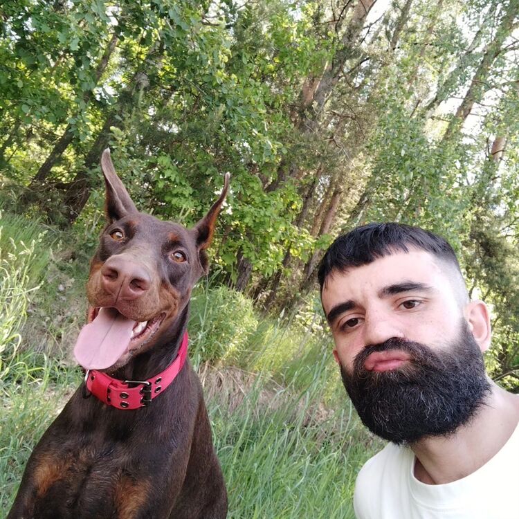 ���� 44195989 ������� Ninja, 33 ����, ���� ���������� � ������