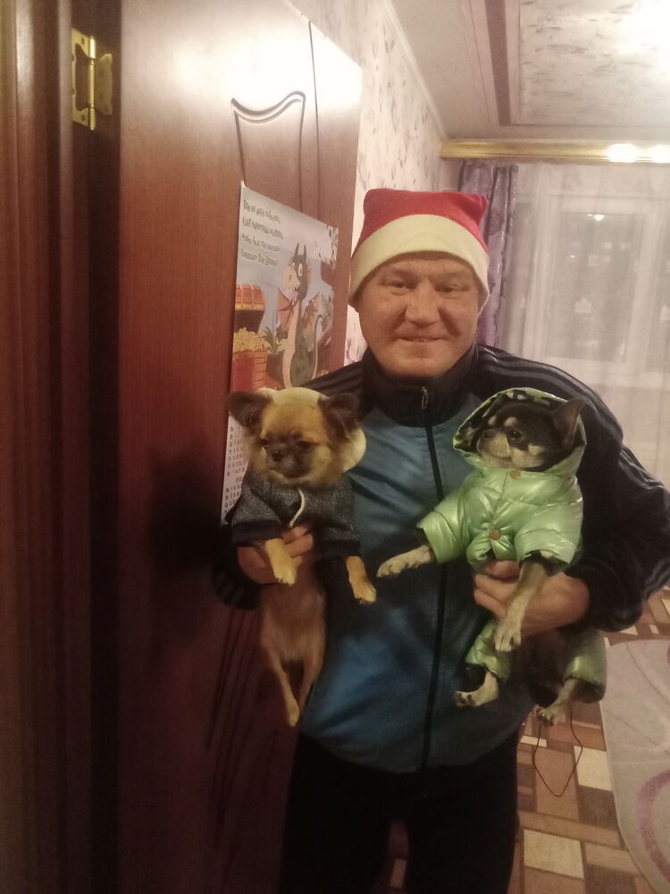 ���������� �����-���������, ���� ������� ϸ��, 45 ���, ������������ ��� ������, ����� � ���������