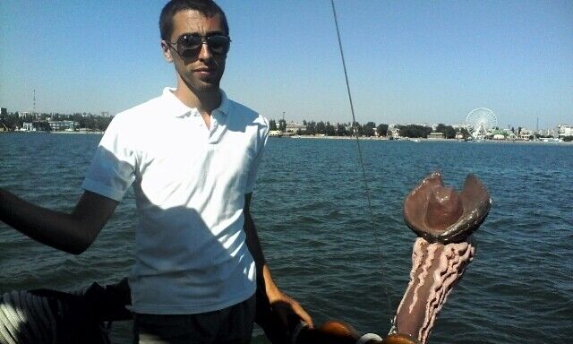 ���� 11154439 ������� �����, 29 ���, ���� ���������� � �����������