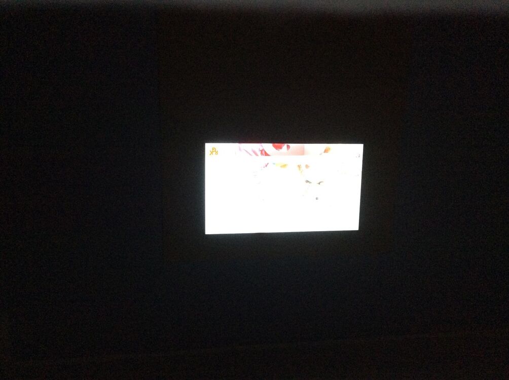 ���� 6486069 ������� �����, 46 ���, ���� ���������� � ����