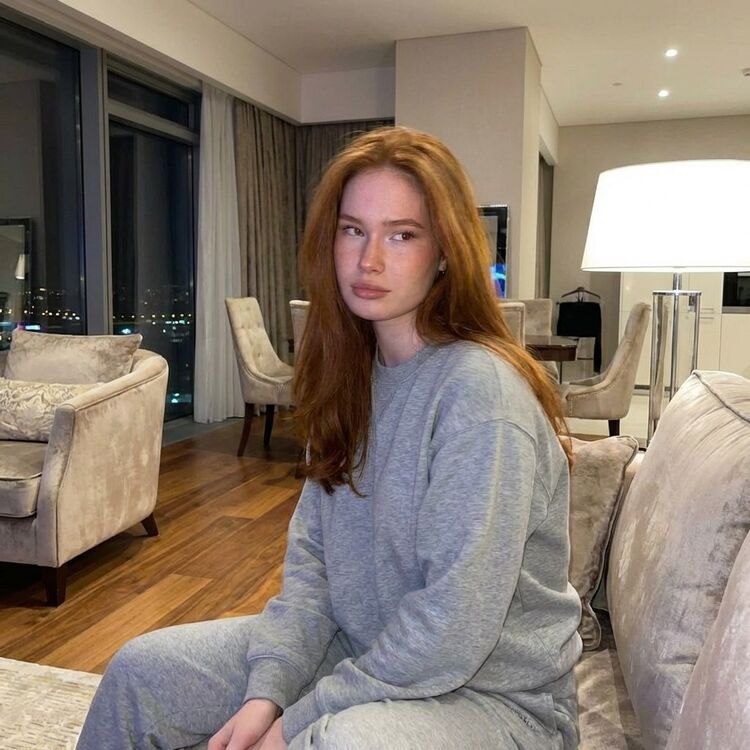 ���� 55508219 ������� �����, 34 ����, ���� ���������� � �����������