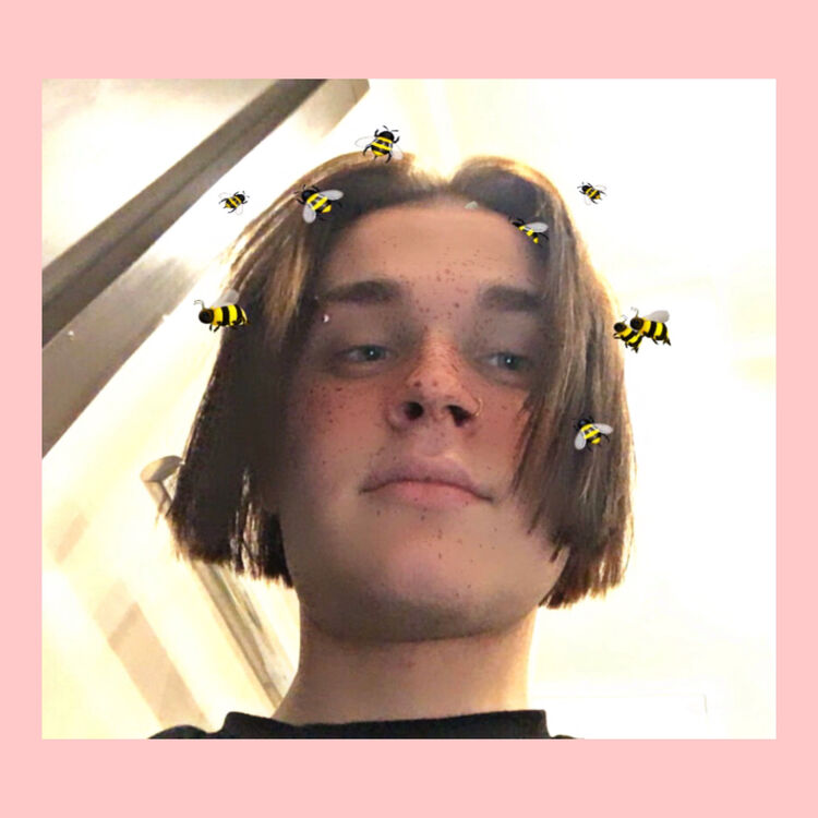 ���� 31131069 ����� ��������, 21 ���, ���� ���������� � ������