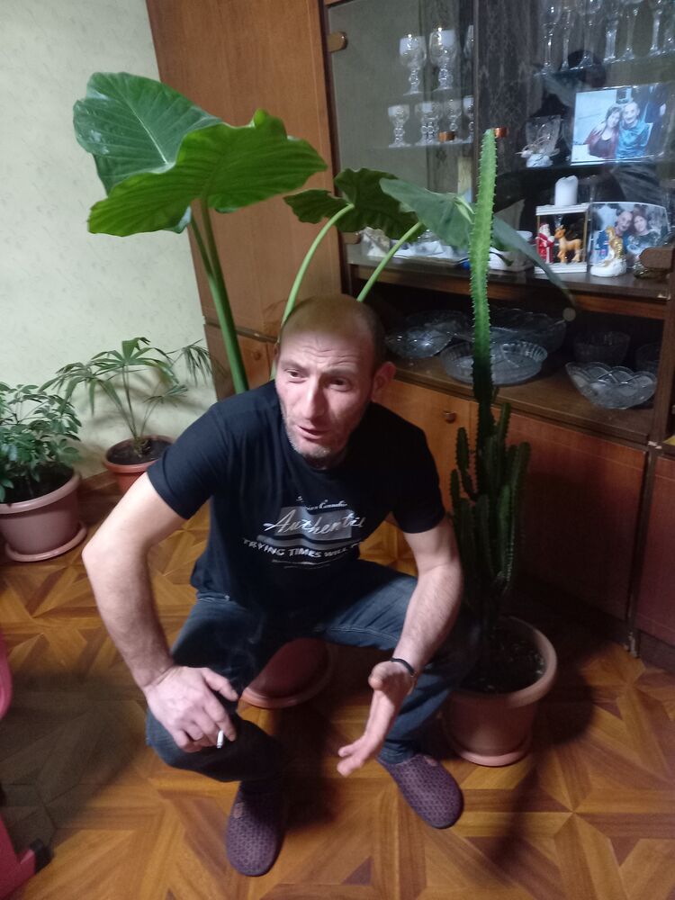  42932679  , 39 ,    