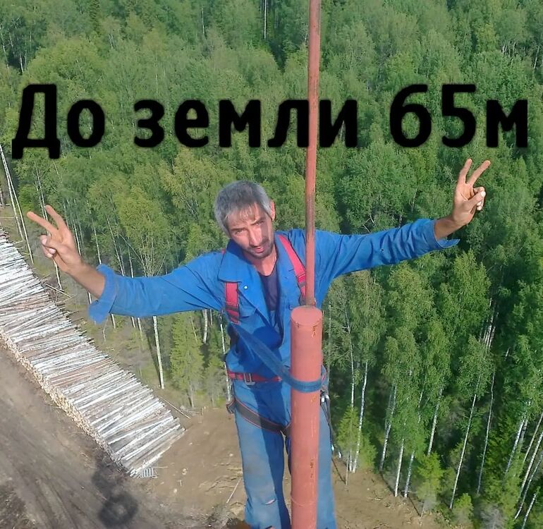  29065319  , 36 ,    -