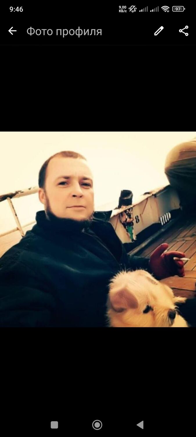  53867269  , 38 ,    -