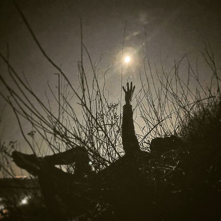 ���������� ����������, ���� ������� MrWhite, 29 ���, ������������ ��� ������, ����� � ���������, c�������� ���������, ���������