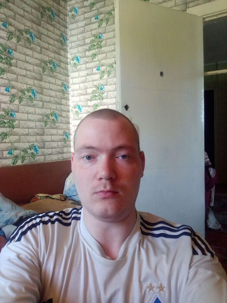  40486239  , 32 ,    