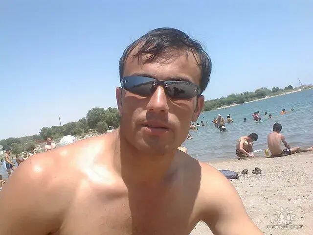  33837669  , 40 ,    