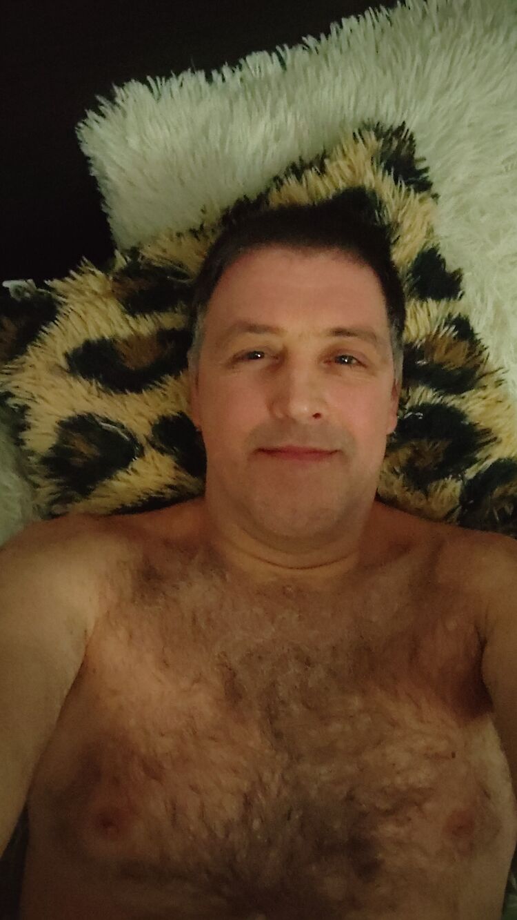  49837319  , 43 ,    