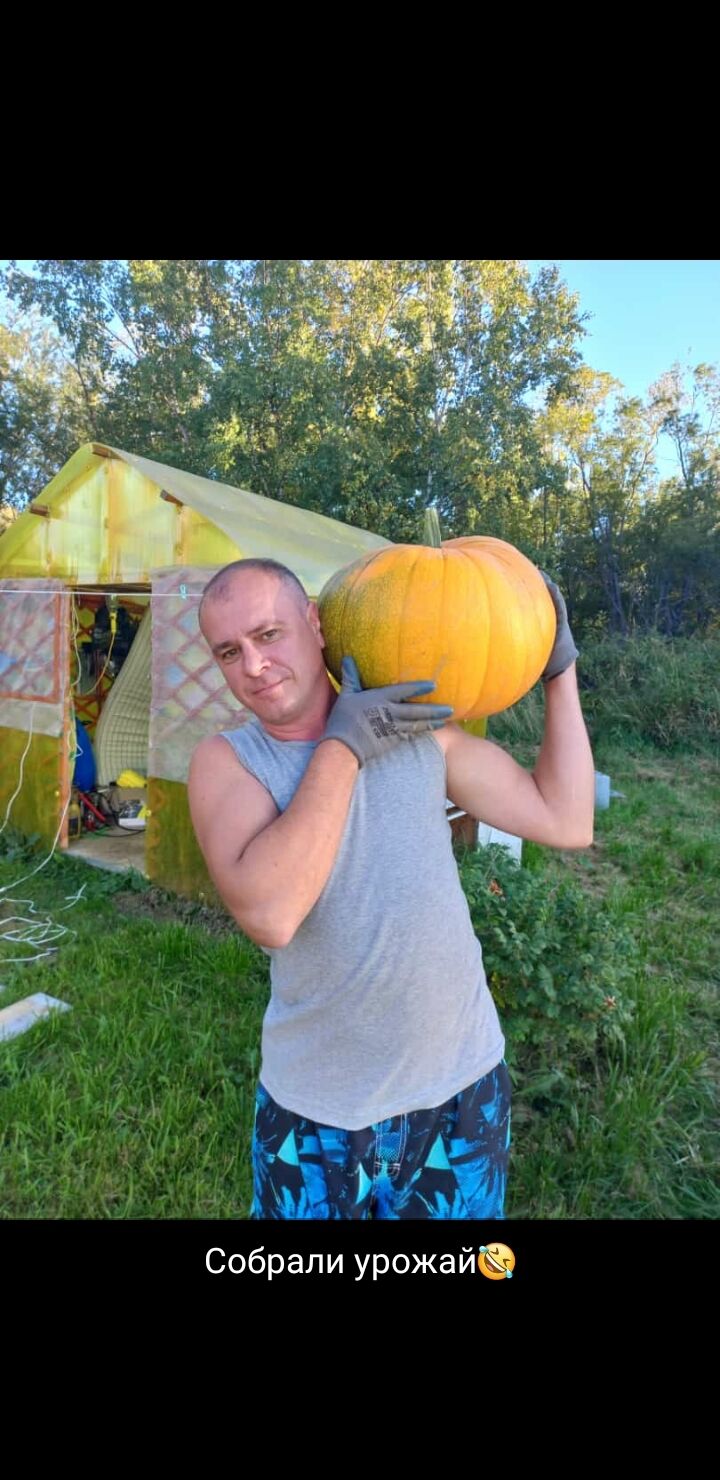  46977919  , 45 ,    
