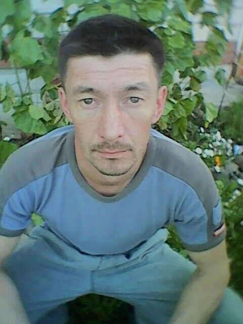  9955269  , 43 ,    