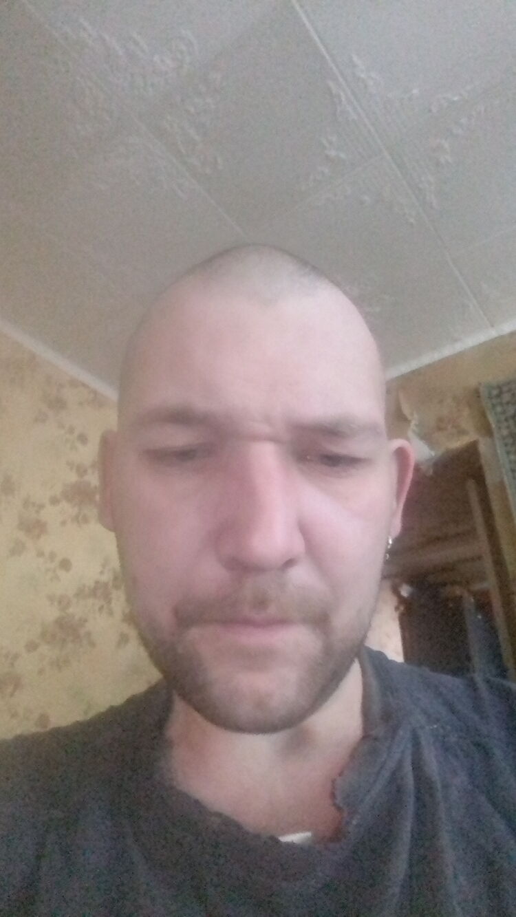  43735659  , 33 ,    