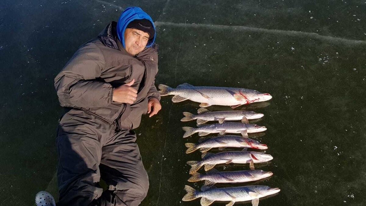 ���� 18175139 ������� �����, 50 ���, ���� ���������� � ������������