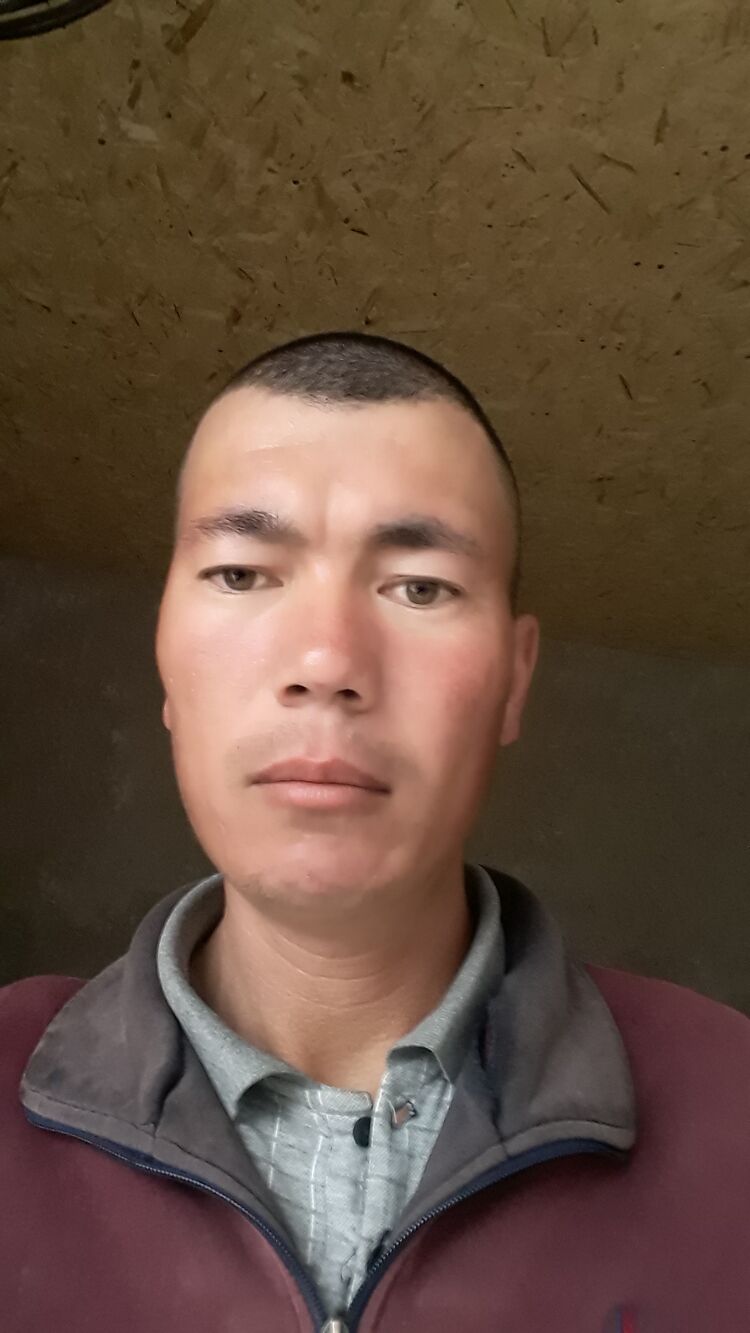 ���� 33116999 ������� Sher, 34 ����, ���� ���������� � ��������