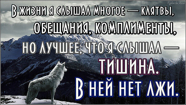 ���� 10977149 ������� �������, 44 ����, ���� ���������� � ���������