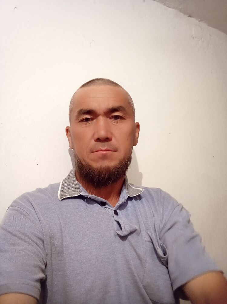  44535659  , 43 ,    