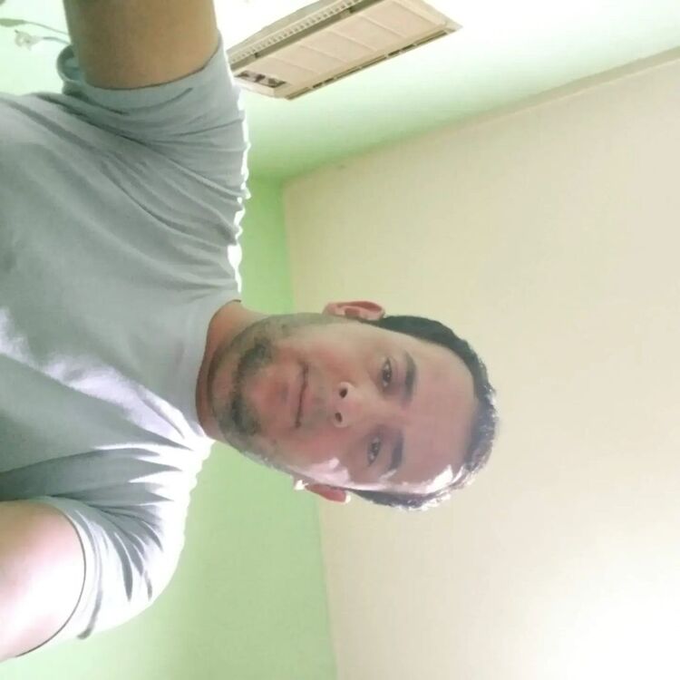  52260779  , 31 ,    