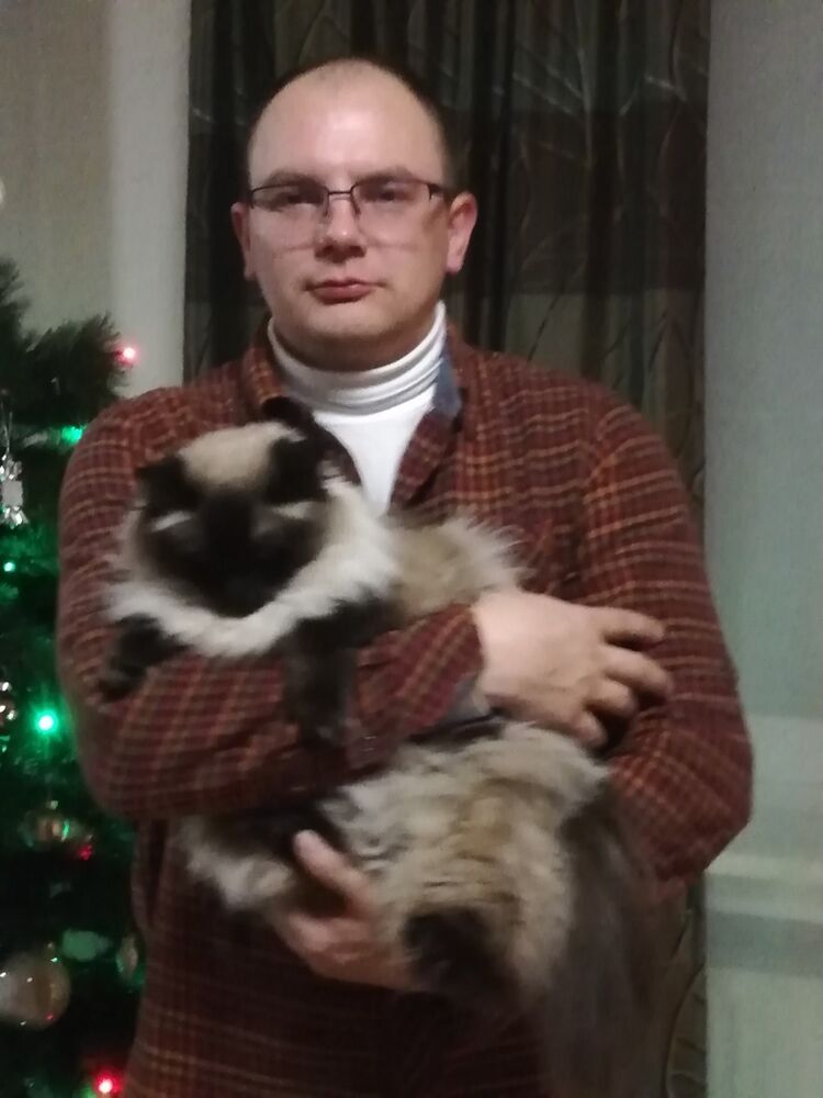 ���� 15376029 ������� ����, 35 ���, ���� ���������� � ��������