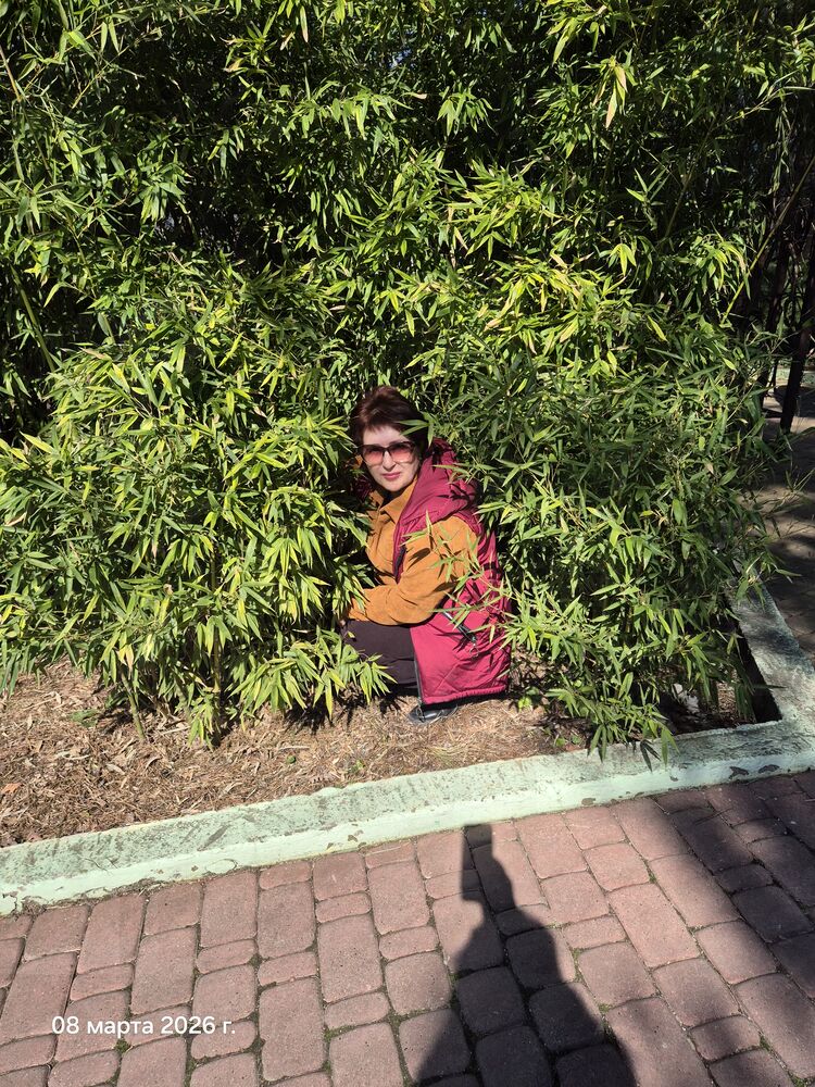 ���� 56181319 ������� �������, 56 ���, ���� ���������� � �������