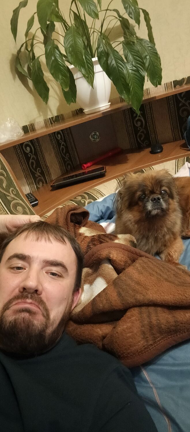   ,   , 37 ,   ,   , 