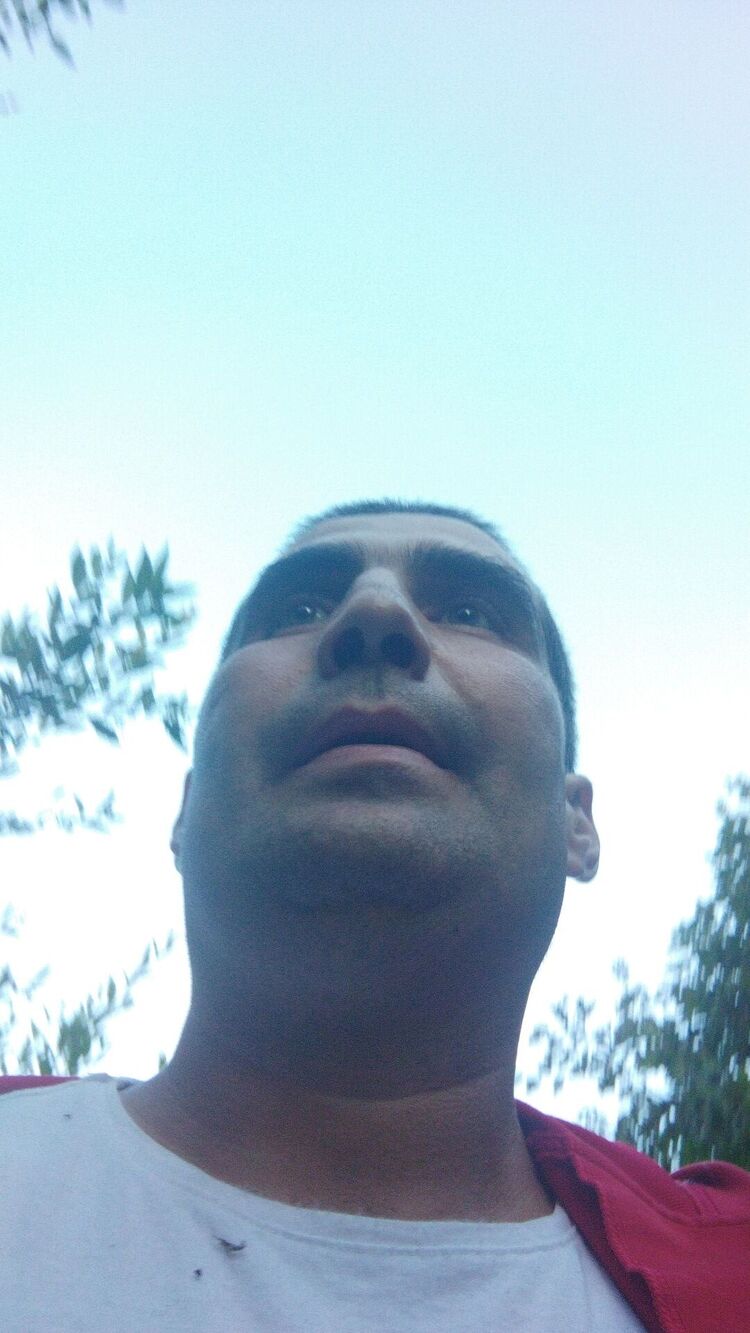  32029239  , 37 ,    -