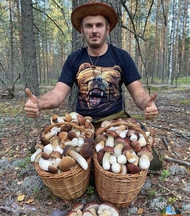 ���� 55143109 ������� Dm, 35 ���, ���� ���������� � ������