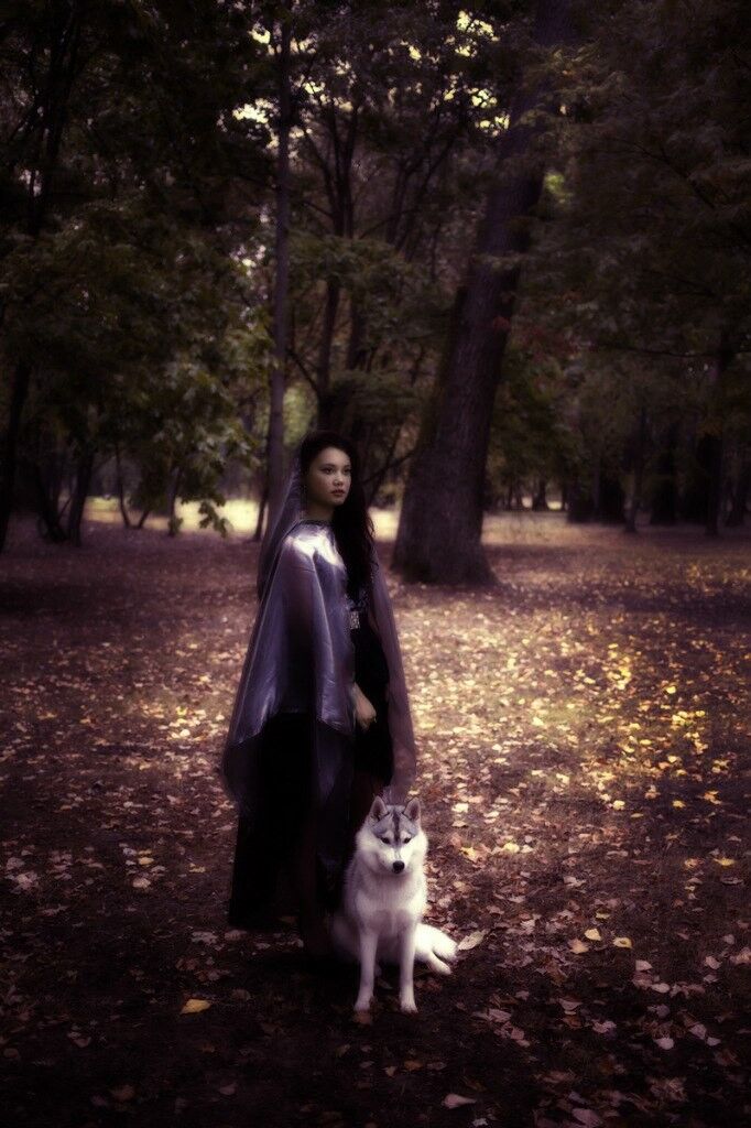 ���������� �����, ���� ������� ���������, 29 ���, ������������ ��� ������, ����� � ���������, c�������� ���������