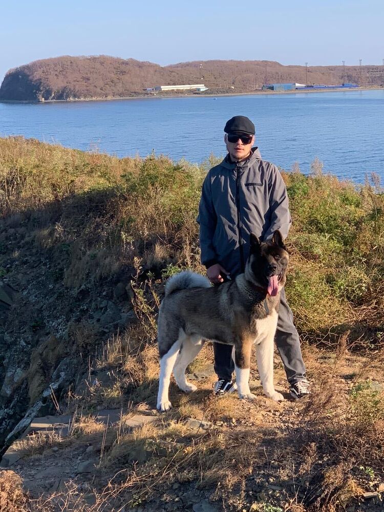 ���������� �����������, ���� ������� ����, 36 ���, ������������ ��� ������, ����� � ���������