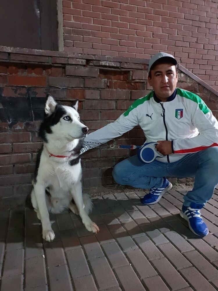 ���� 18664899 ������� �������, 40 ���, ���� ���������� � ������