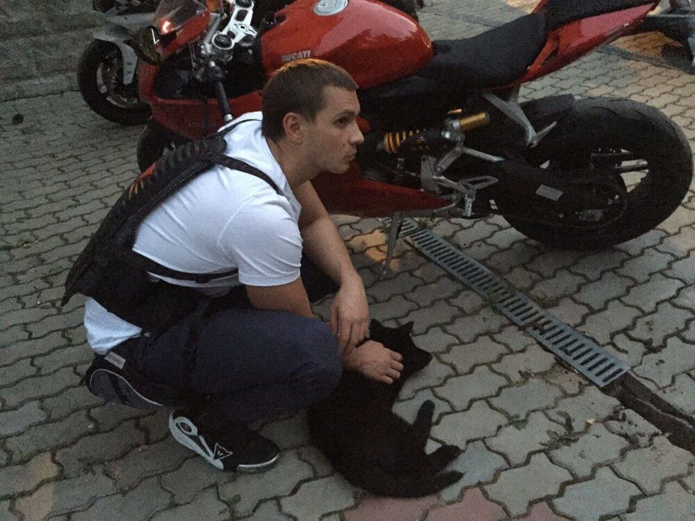  52313399  Vlery, 38 ,    