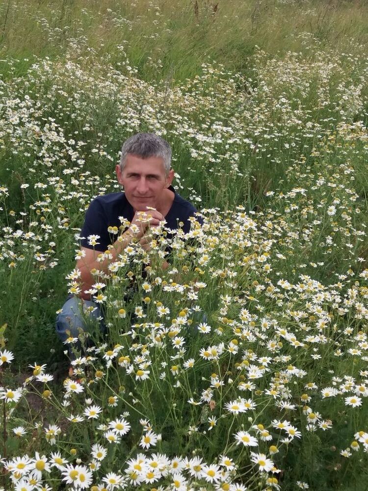 ���� 19447769 ������� �������, 50 ���, ���� ���������� � �����