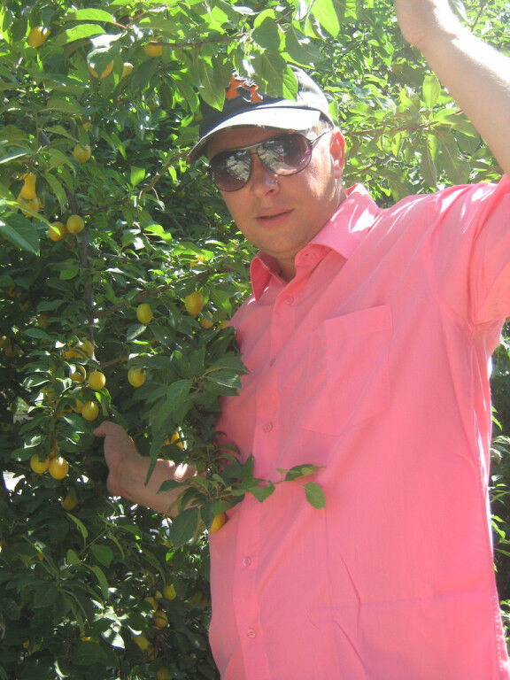 ���� 19552079 ������� ����, 46 ���, ���� ���������� � �������