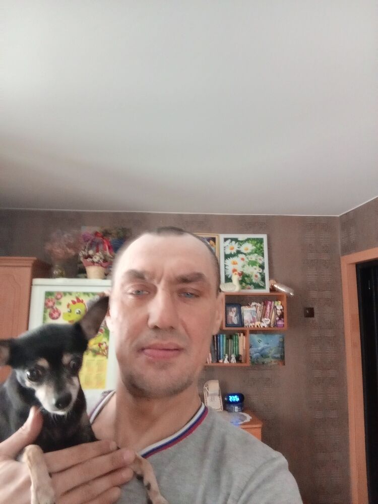  48246659  , 43 ,    